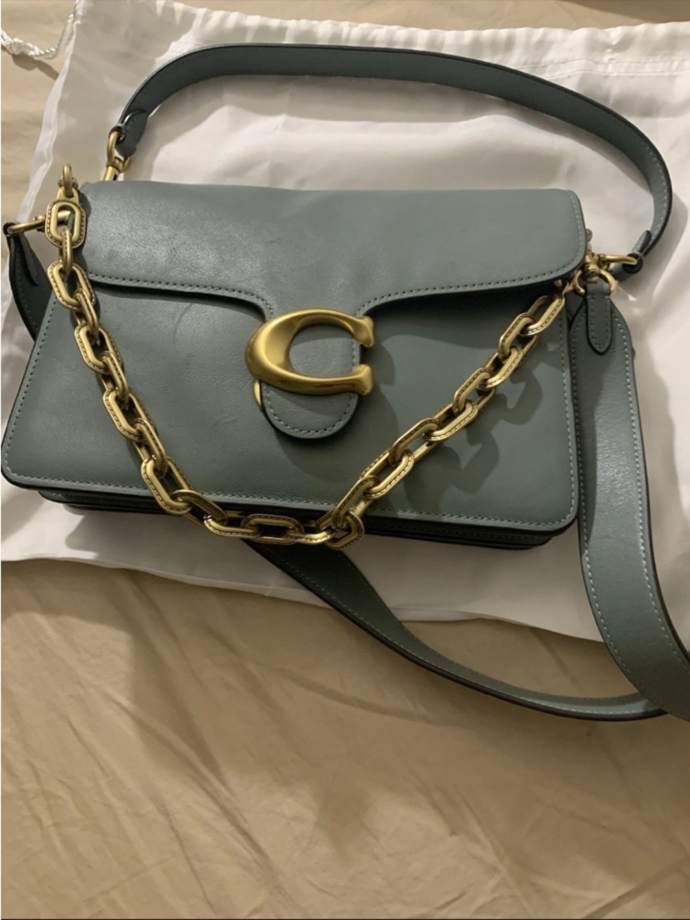 COACH  Chain Tabby Shoulder Bag Color Sage Green